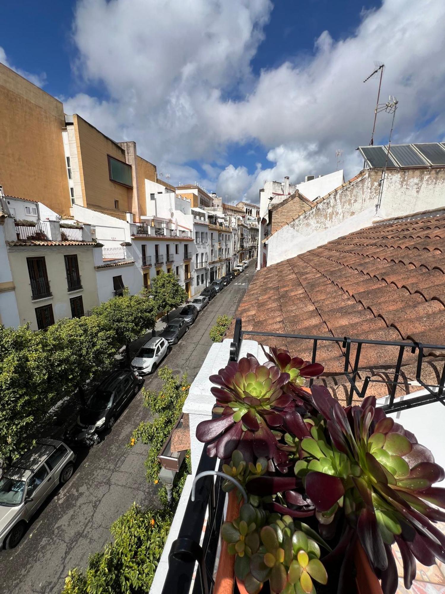 コルドバ San Fernando 33ヴィラ エクステリア 写真